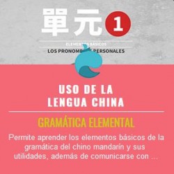 Curso Uso de la Lengua China